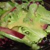 mustard-vinaigrette-salad-dressing